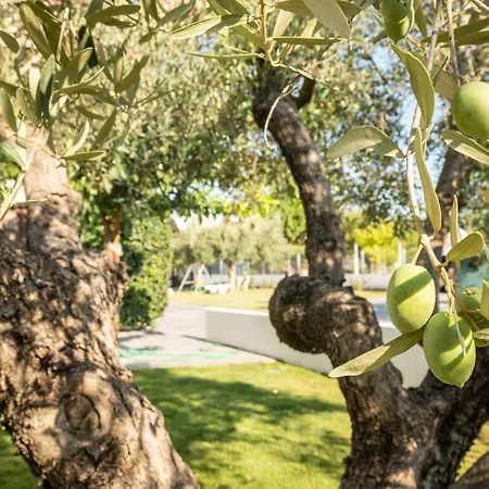 דירה Iraklia Sea View ניאה אירקליה